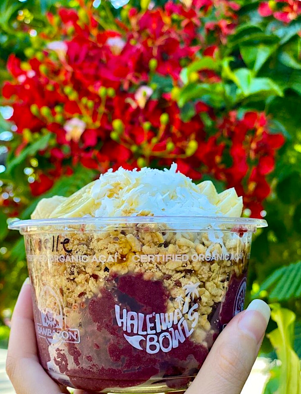 GOOD SMOOTHIES FROM HAWAII