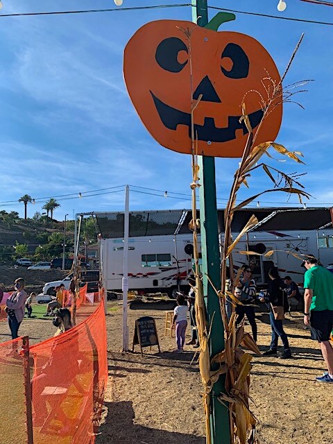 PUMPKIN PATCH