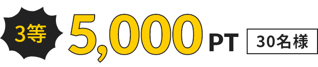 3等 5,000PT 30名様