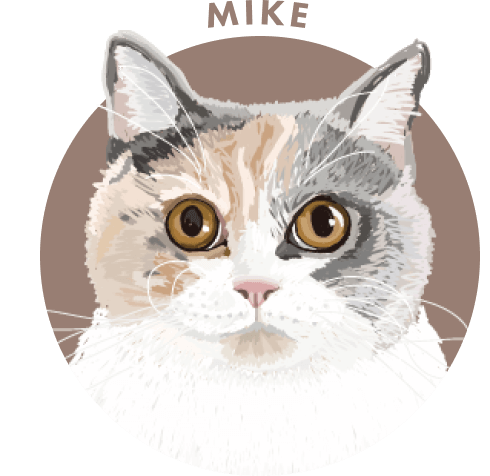 ねこねこ」とPUBLUXのスペシャルコラボレーション！｜Daytona Park