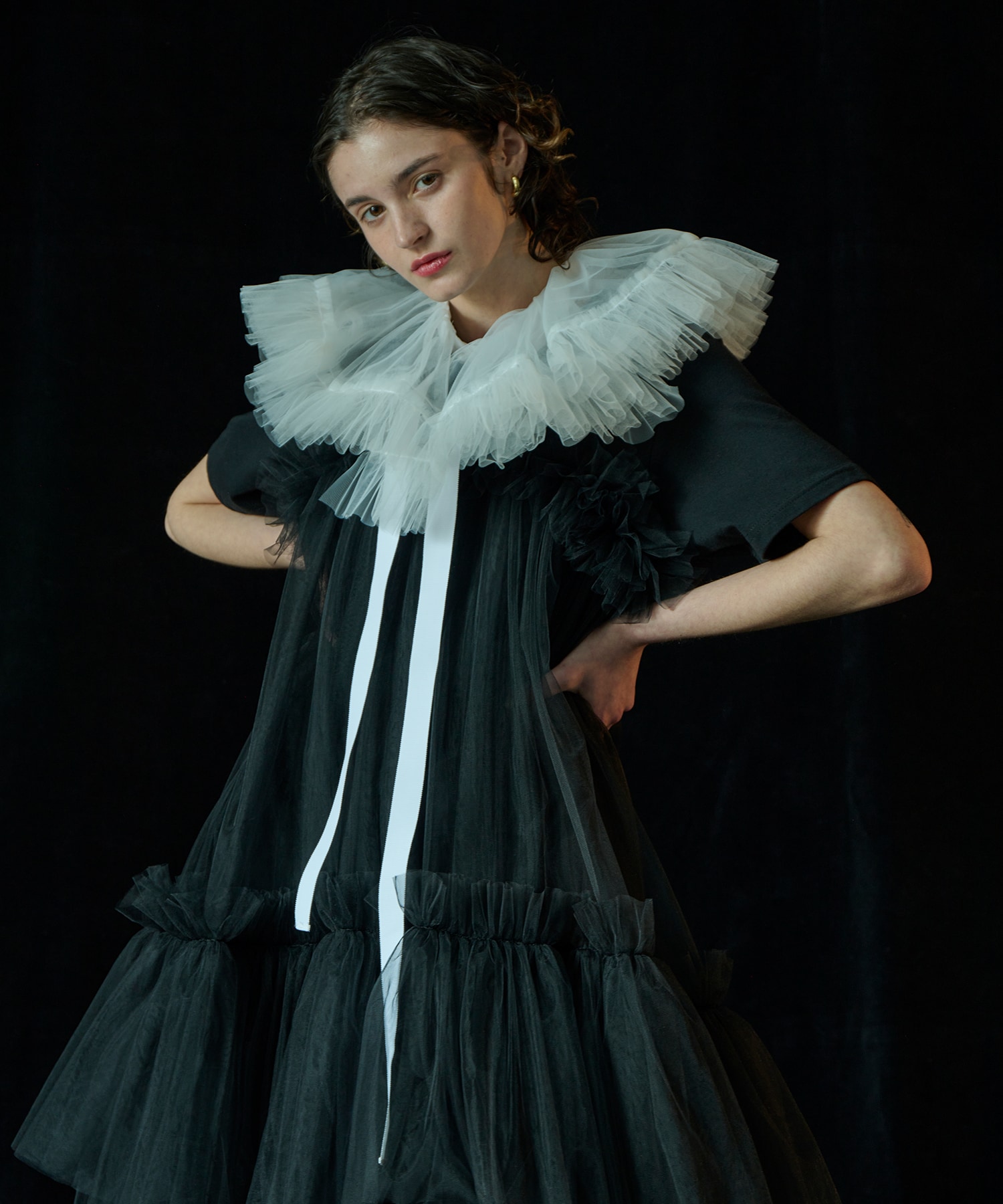 VIVIANO / ヴィヴィアーノ | 2024AW | フラワー レース ハイネック トップス | M | ブラック | レディース VIVIANO / ヴィヴィアーノ | 2024AW | フラワー レース