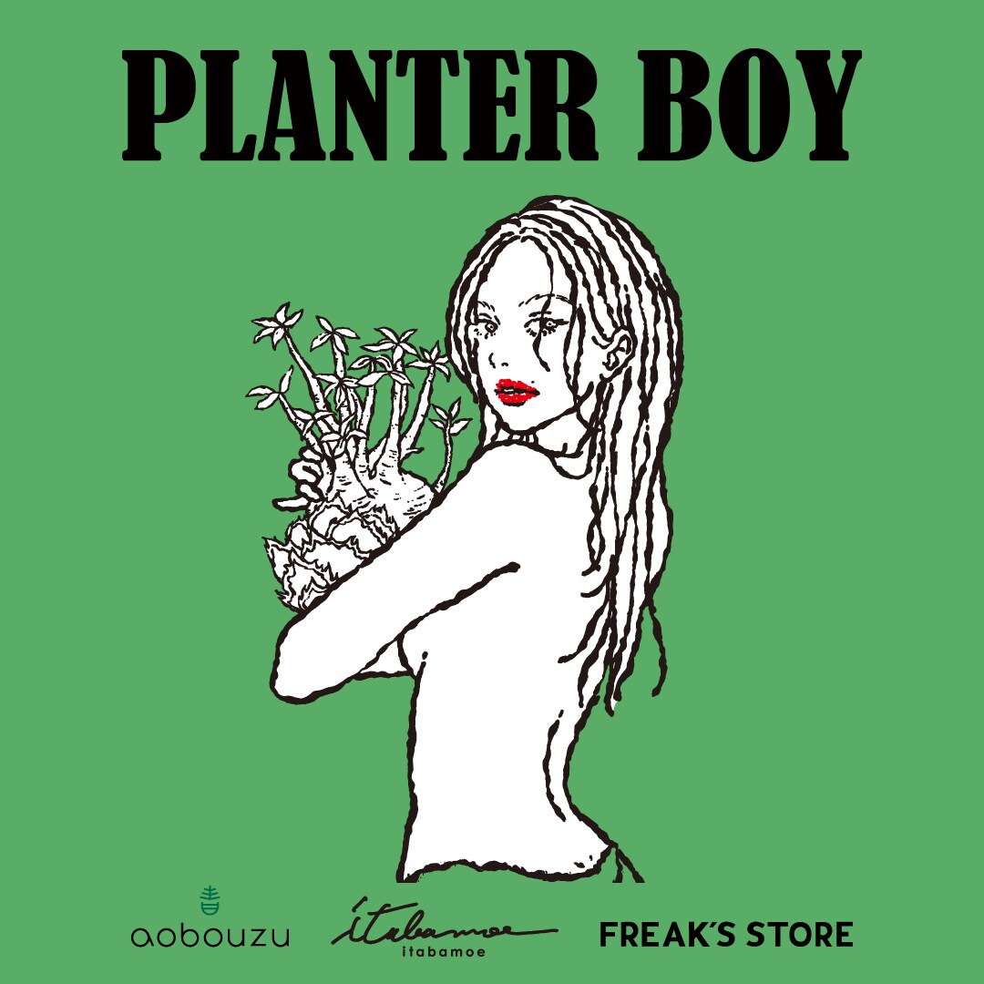 レア PLANTER BOY KISS itabamoe アート 原画 kyne PLANTER BOY】aobouzu × itabamoe × FREAK'S STORE｜Daytona Park