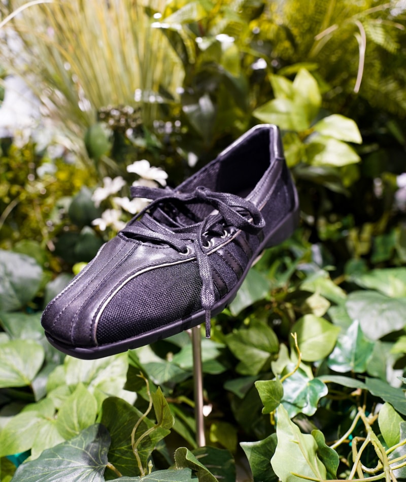 Rockfish Weatherwear (ロックフィッシュ ウェザーウェア)｜Daytona