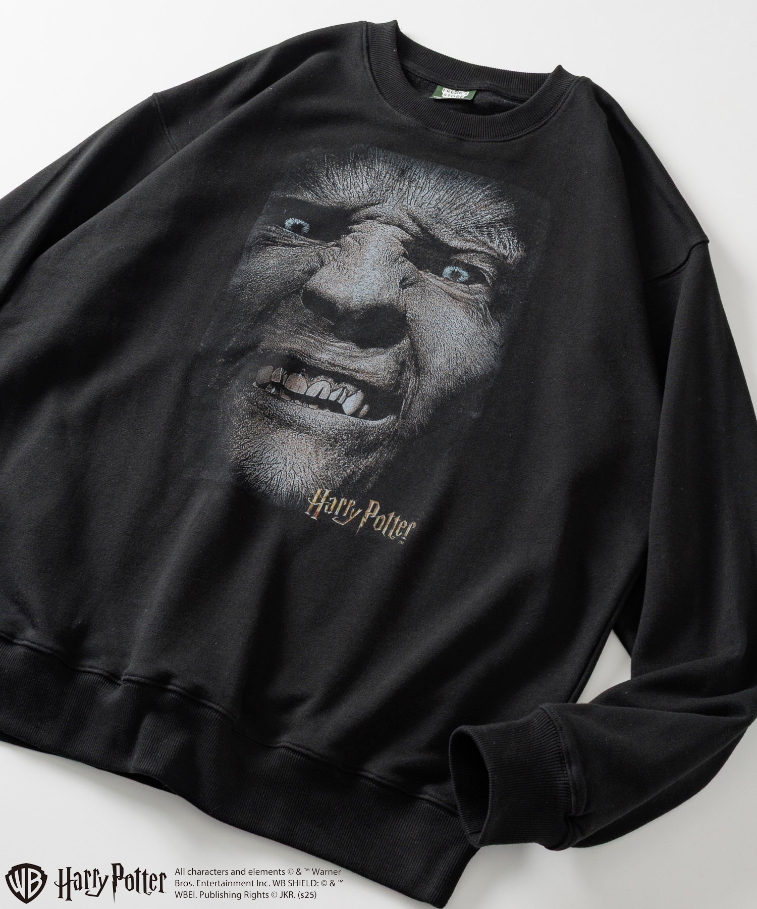 Harry Potter × FREAKS' STORE｜Daytona Park(FREAK'S STORE公式通販)