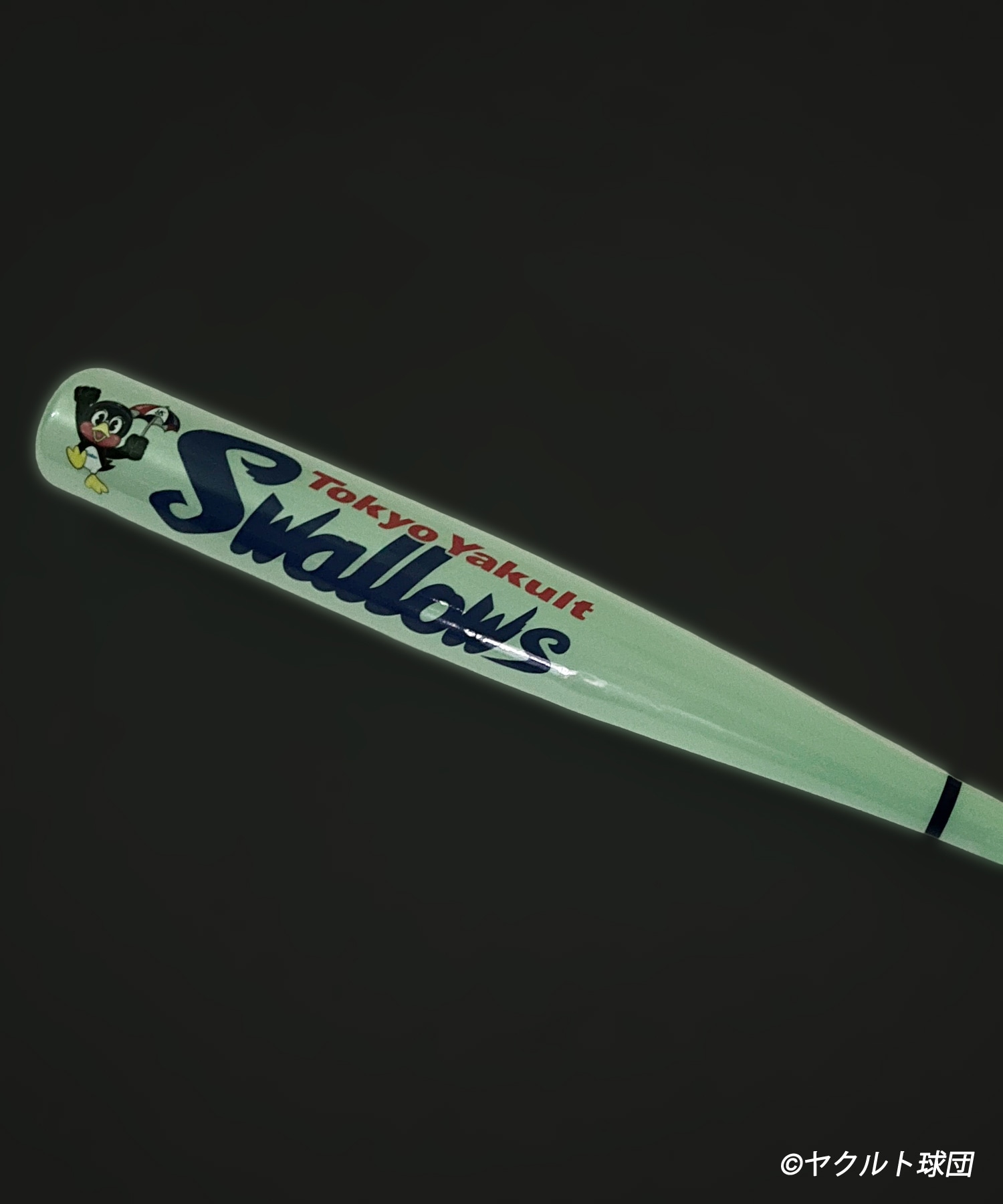 FREAK'S BASEBALL UNION｜Daytona Park(FREAK'S STORE公式通販)
