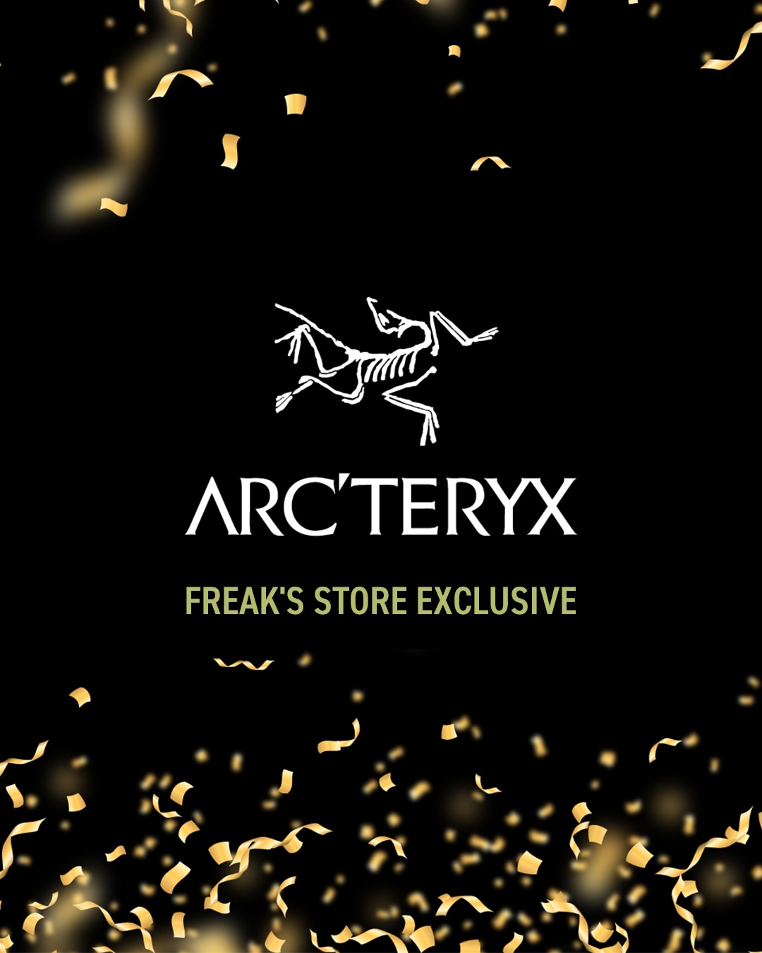 入荷後即完売を繰り返す人気ブランド、＜ARC'TERYX（アークテリクス